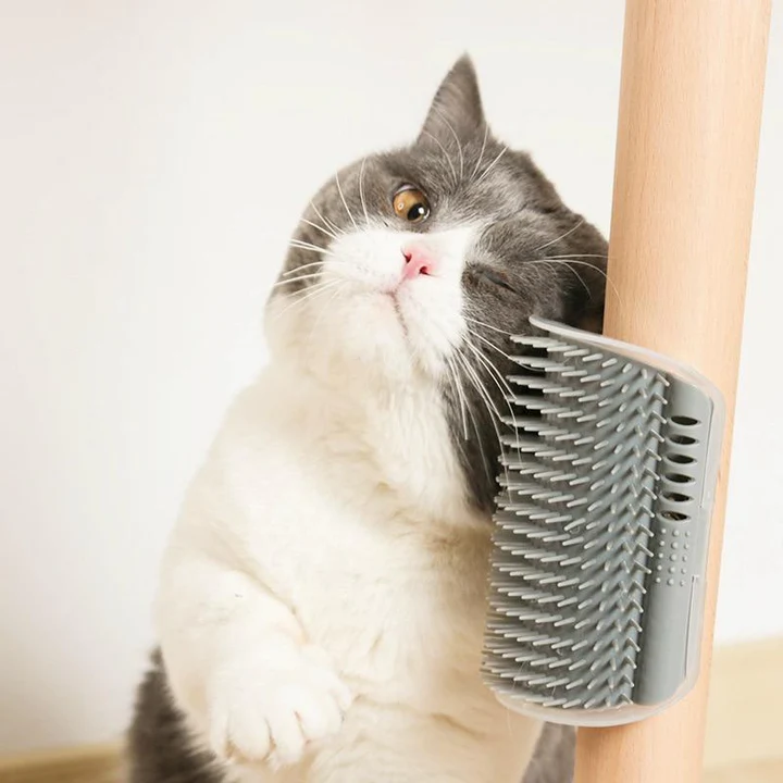 Escova Auto Massageadora Tira Pelos para Gatos